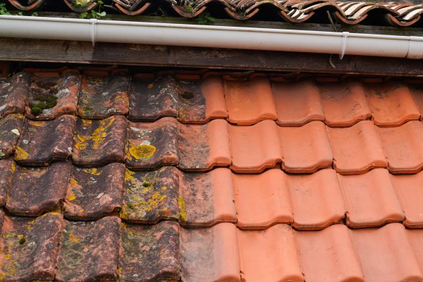 Industrial Roof Cleaning in Saint Augustine