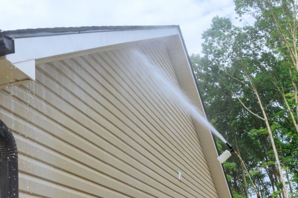Cost of Siding Cleaning Service in Saint Augustine